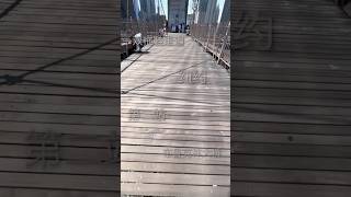 一双拖鞋走遍纽约第二站纽约布鲁克林大桥#中国人在海外 #纽约 #海外华人 #纽约生活