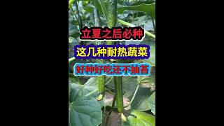 六月以后可以种哪些蔬菜你知道吗？￼这些蔬菜都适合高温耐热 #gardening ￼