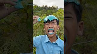 Survival Skills: SMART and USEFUL ideas #survival #ideas #useful #smart #shorts #camping