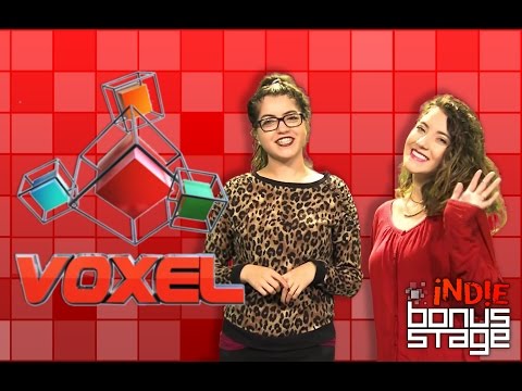 Voxel Game Developers Expo 2015