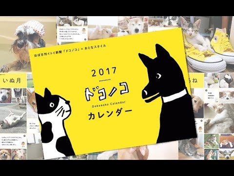 ドコノコカレンダー2018　写真募集！