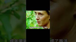 難以置信的動物戰爭，陰謀手段戰術技巧，堪比人類戰爭 #神秘老樹 #案件 #探案 #懸案 #懸疑