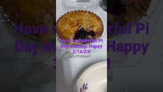 Happy Pi Day 2023! #PiDayPie #blueberrypie #chickenpotpie