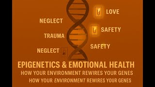 Your Environment Changes Your Genes | Epigenetics Explained | EQBloom