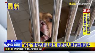 比特犬「尖石」曾咬死飼主朋友 訓練後獲新生@newsebc