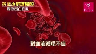 黃金玻尿酸水解膠原蛋白胜肽---薑黃功效