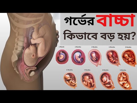 গর্ভাবস্থায় ১ থেকে ৯ মাসে সন্তানের বৃদ্ধির যাত্রা।সবার জন্য জানা জরুরি  || Pranicharge