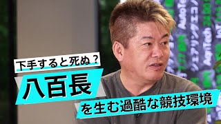 力士には夢も金もない？数々の問題で揺れる相撲業界をクリーンにできるか【貴闘力×堀江貴文】