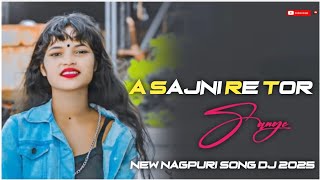 A Sajni Re Tor Sange Prem Moy🌿New Old Nagpuri Remix Song 2024🌿New Nagpuri Dj Song 2025🌿Dj NilesH Mix