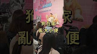 避免亂大小便！｜熊爸估狗 #pets #寵物 #寵物 #狗狗 #萌宠