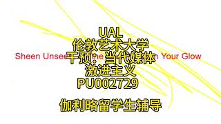 伽利略留学生辅导：UAL伦敦艺术大学干预：当代媒体激进主义PU002729