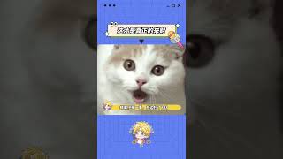 谁能莫名其妙给我转点！！！ #接接接