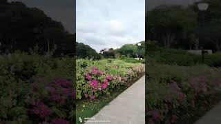 #newpost