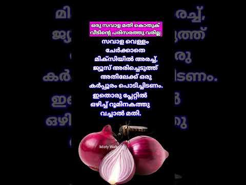 How to get rid of Mosquitoes with Onion #amazingtips