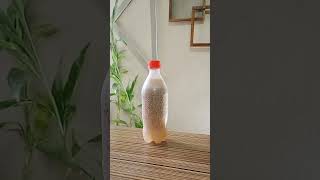 coke vs milk 🧐 experiment #shorts #youtubeshorts #youtube #experiment #diy #lifehacks #DotLook