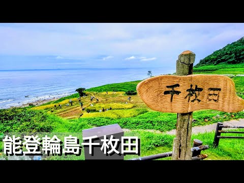[Ishikawa Notowajima] Stroll while watching the rice harvesting in Senmaida