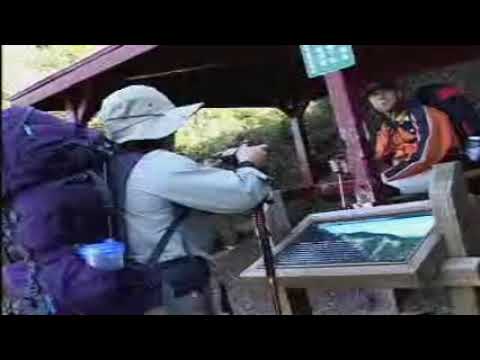 領航玉山