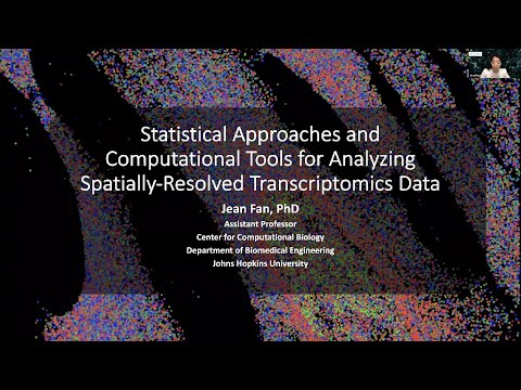 Statistical Approaches and Computational Tools for Analyzing Spatially-Resolved Transcriptomics Data