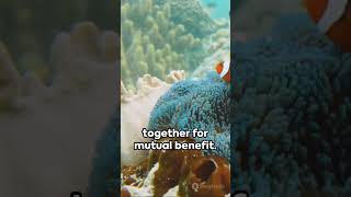 🌿✨ Nature's Partnerships Witness Symbiosis Unfold! #SymbioticSynergy #EcoBalance