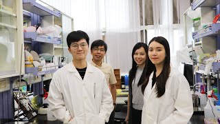 沒有結構的蛋白質如何凝集？陽明生化所改寫「半乳糖凝集素」認知