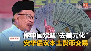 提倡本土货币交易以"去美元化"   安华称中国欢迎