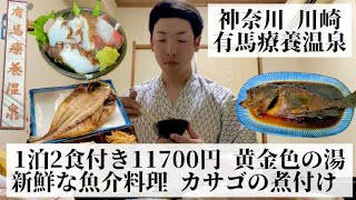 【有馬療養温泉/神奈川県 川崎🇯🇵】川崎市の住宅街にある極上温泉宿 新鮮な魚介が並ぶ食事少なめ湯治プラン