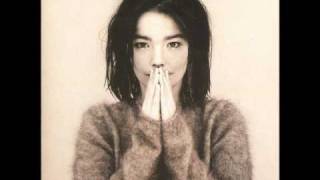 Bjork - Human behaviour