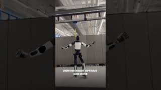 Илон Маск показал танец робота Optimus. Вопрос в том, верим или нет?