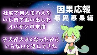 【因果応報】悪因悪果編　子犬が大きくなったからいらないと返してきた友人