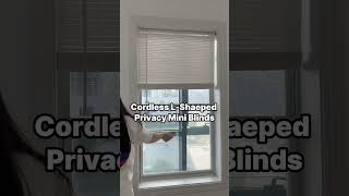 🌟 Changer for Privacy & Light Control! 🌟