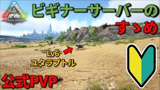 【ARK】PVPを試したい初心者必見！ビギナーサーバーのすゝめ【公式PVP】