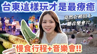 慢台東，去你的憂｜深夜泡茶看夜景、藥草火鍋吃到飽、晚上星空+海邊聽音樂會還有光雕秀、超Chill按摩放鬆！史上最舒服的台東行！