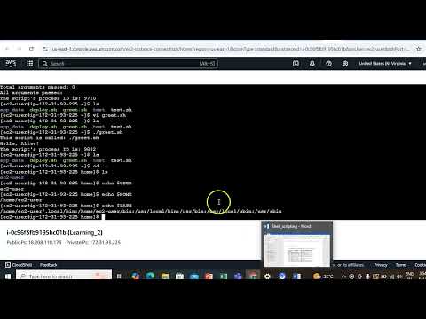 Shell Scripting - Variables