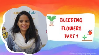 Bleeding Flowers Part 1 Introduction | DIY STEM Experiment For Kids