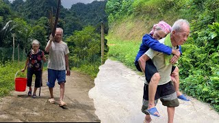 Picking wrong trees full of fruits in the deep forest to sell for money