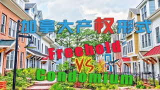 加拿大买房，哪些产权形式：Freehold or Condomium?