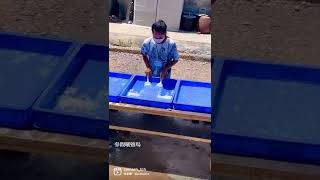 ［香港一日遊］西貢出發15分鐘到達！小島風光鹽田梓🏝️