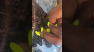 How to start a rope twist from the scalp🖤🤍#ropetwist  #senegalesetwist  @MsEssential09