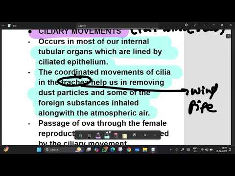 Locomotion and Movement🦴🤸🏽 | Class 11 Biology | CBSE NCERT Explained 📚| PART-1| NEET🏃🏽