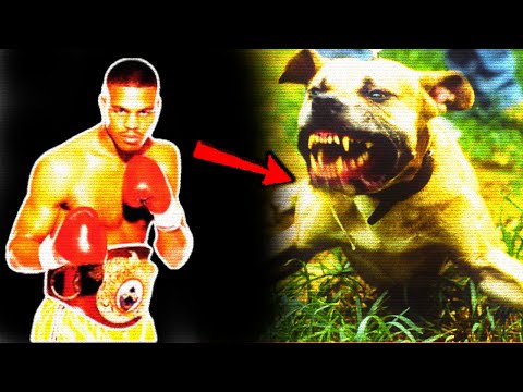 This Boxer Had A TERRIBLE Secret