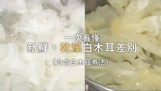 8more白木耳料理食堂：一次看懂新鮮、乾燥白木耳差別