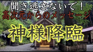 【高千穂秋元神社遠隔参拝】閲覧注意※怖いと思ったら観ないでください※超神秘高次元からのメッセージ（Akimoto Shrine Miyazaki Japan）#77