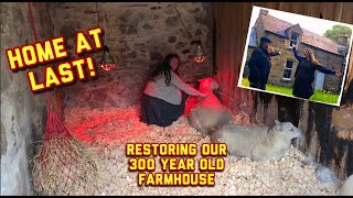 New: We finish insulating the ceiling and the sheep arrive at the farmhouse | #restoration Lifestyle