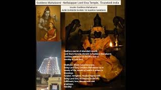 Goddess Mahalaxmi Nellaiappar Lord Siva Temple- Realize a Secret- Nandhiji