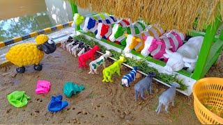 SIMULATION OF COLORFUL COW CUTTING GOAT | COW AND BUFFALO CESAREAN BIRTH PROCESS