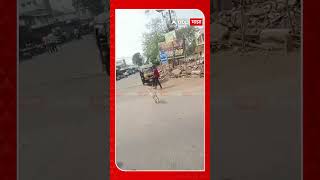 Deer Viral Video Gondia  : बाईकपेक्षा वेगवान..जंगलातून रस्ता भरकटलेलं हरीण शिरलं शहरात...