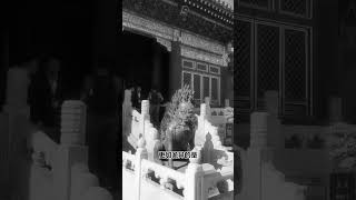 光绪之死的历史真相，说出来你可能不信！ #历史 #history #清朝#熱門 #shorts