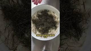 。·松针甜酒酿没喝过吧？