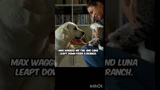 Claws & Paws: When Forest Breaks"#DogVsCat #ForestFight #ClawsAndPaws #AnimalClash #NatureDrama