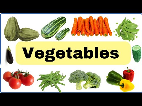 vegetables name/காய்கறிகளின் பெயர்/# pkt englishstories/#pkt/vegetables